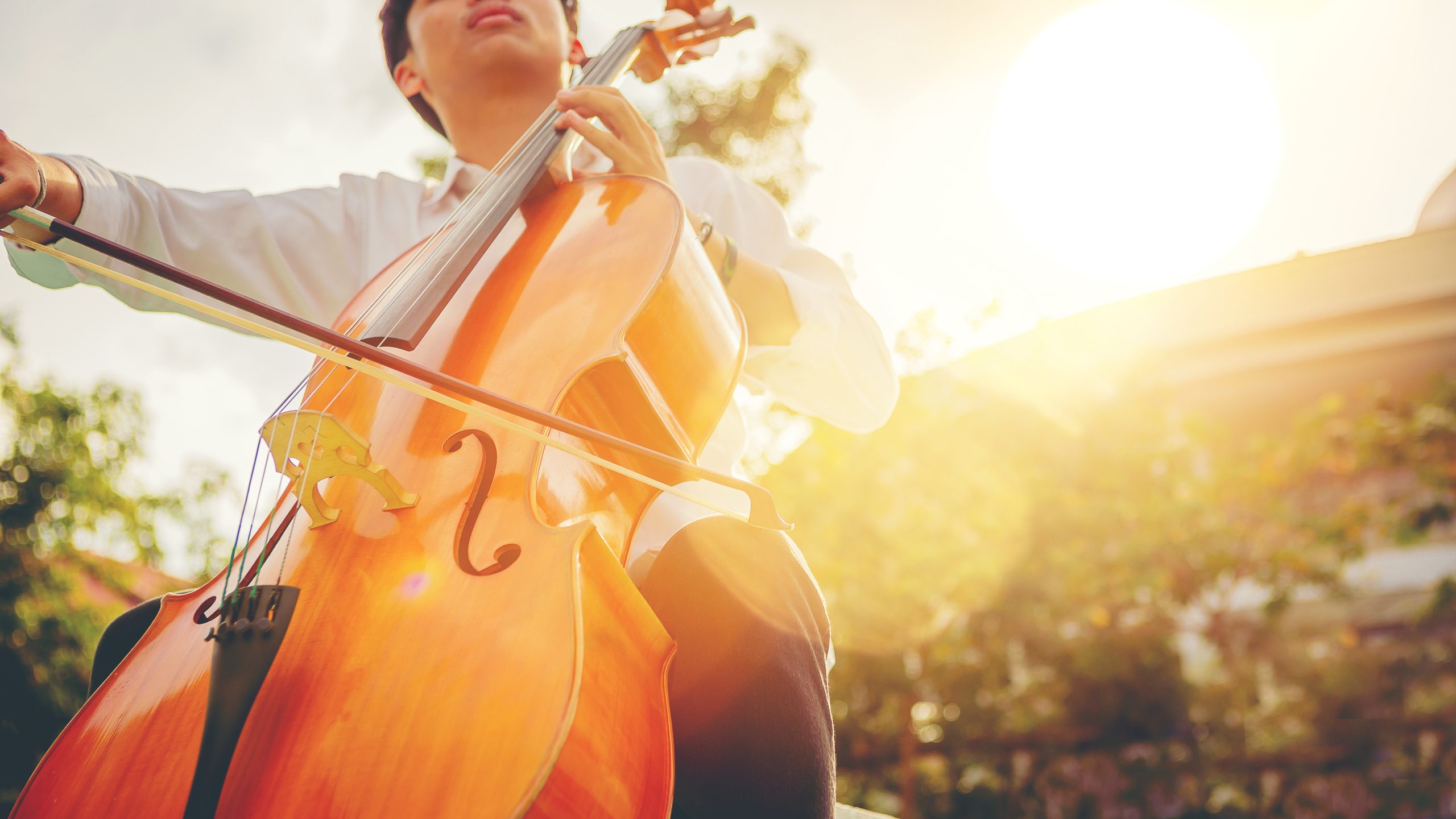 Musician man using a bow to practicing the cello playing with the melodiousness at the sunset. Selected focus.